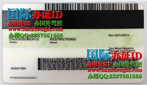 亚利桑那州驾驶执照Arizona Driver's License