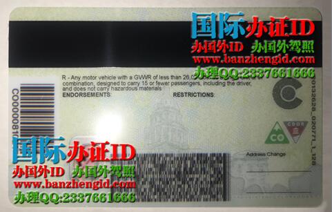 Colorado Driver's License