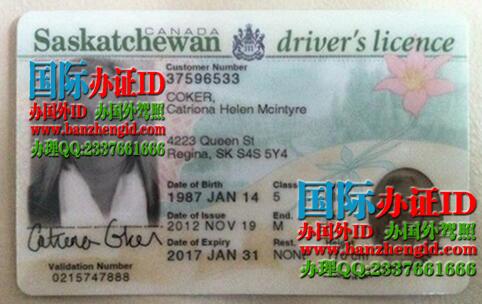 Saskatchewan driver's license