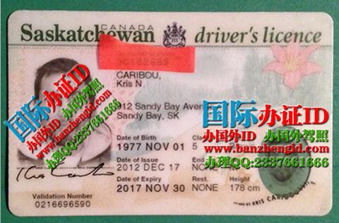 萨省驾驶执照Saskatchewan driver's license