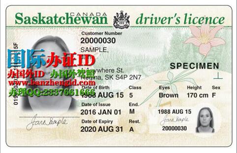 萨省ID驾照Saskatchewan ID driver's license