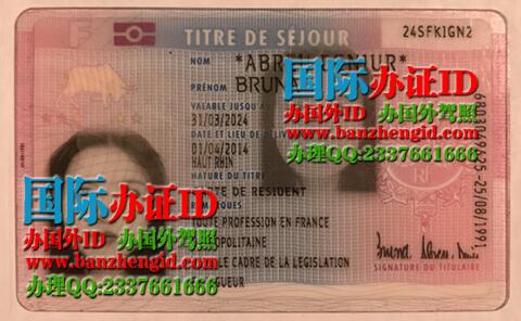 French residence card