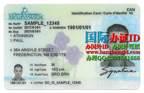 加拿大新不伦瑞克省身份证New Brunswick ID Card，办新不伦瑞克省身份证，新不伦瑞克省身份证样本，加拿大新不伦瑞克省身份证ID在线办理。