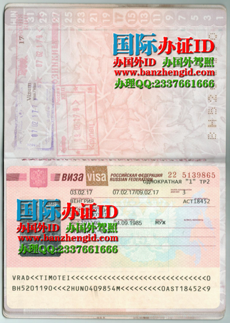 匈牙利签证Hungarian visa（Magyar vízum），办匈牙利签证，购买匈牙利签证，匈牙利签证样本