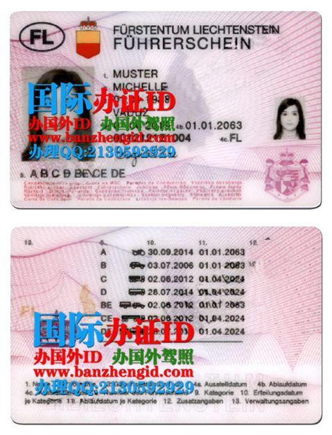 列支敦士登驾照,Liechtensteiner Führerschein,Liechtenstein driver's license