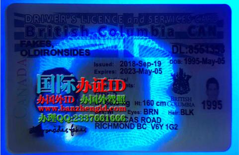 卑诗省驾照BC driver's license