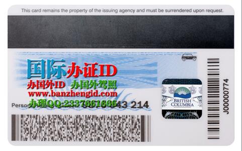 British Columbia ID driver's license