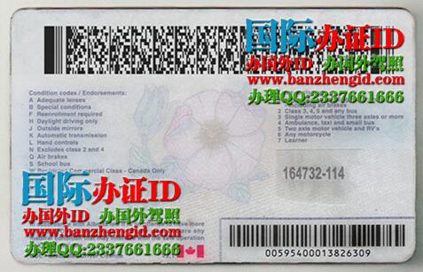 加拿大艾伯塔省身份证Alberta, Canada ID card