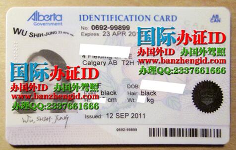 加拿大阿尔伯塔省驾照Canadian Alberta driver's license