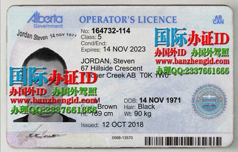 艾伯塔省驾驶证Alberta driver's license