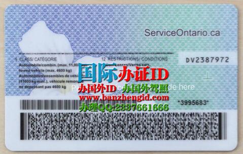 Ontario ID driver's license