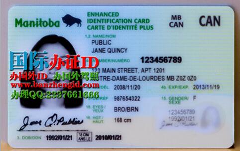 曼尼托巴省驾照Manitoba driver's license