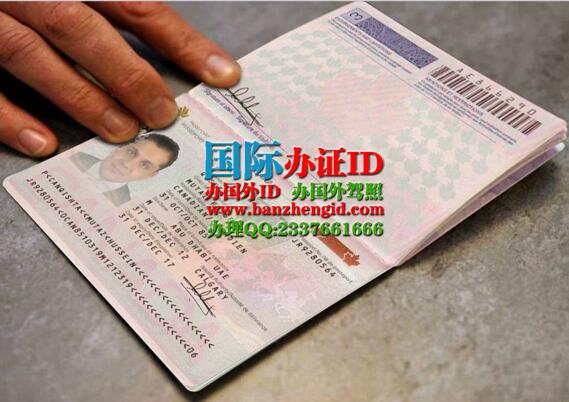 加拿大护照类型