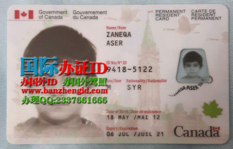 办加拿大枫叶卡Canadian Maple Leaf Card
